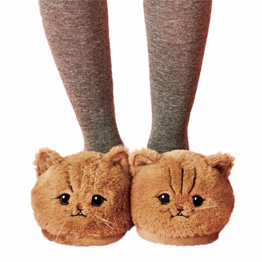 Slippers | Womens  Kitten Slippers Slippers round eyes